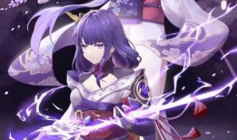 雷电将军周本爆料视频,独家爆料视频深度解析