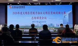 东莞莞城新闻爆料事件,真相追踪与舆论反响